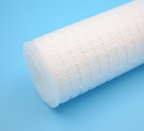 Absolute Pleated Filter - Length 20 Micron Rating 25 Gasket FEP